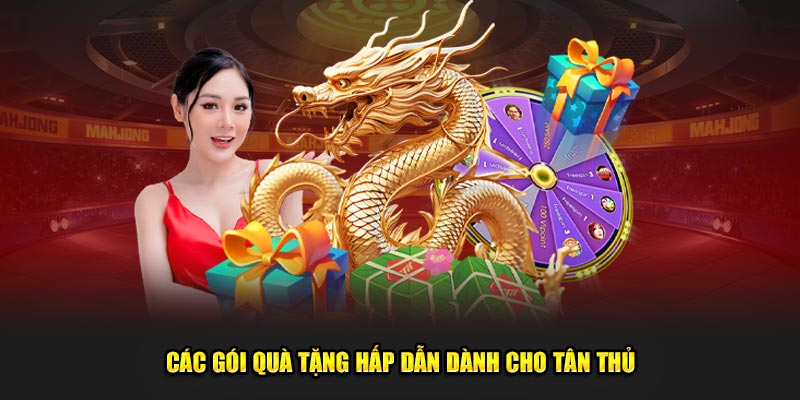 Các gói quà tặng hấp dẫn dành cho tân thủ tại hệ thống