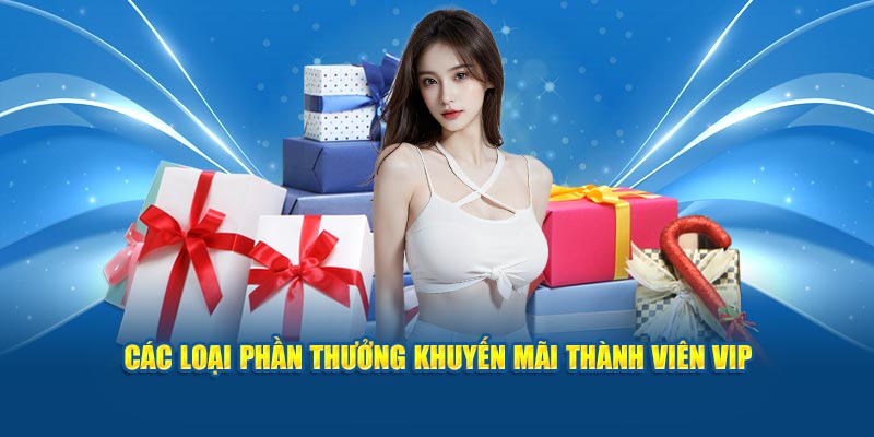 Các loại phần thưởng khuyến mãi thành viên VIP 